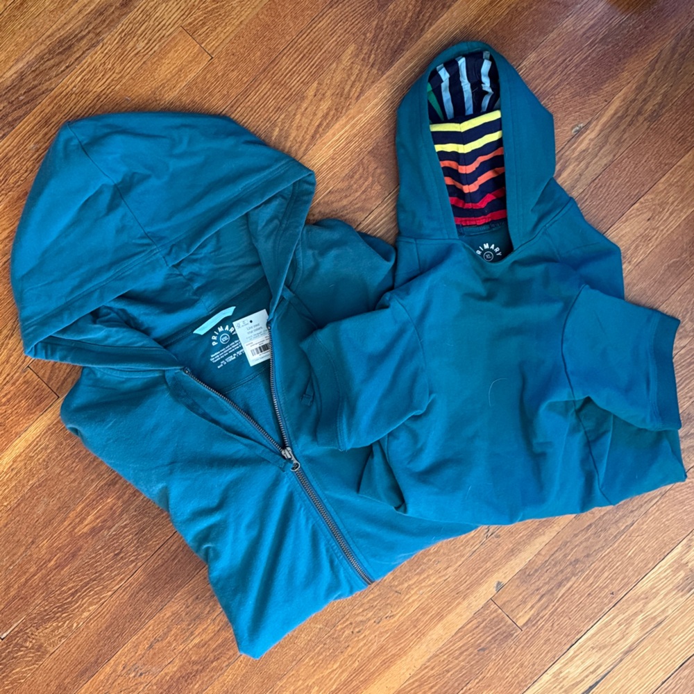 Primary Teal Matching Adult & Dog Hoodie Set